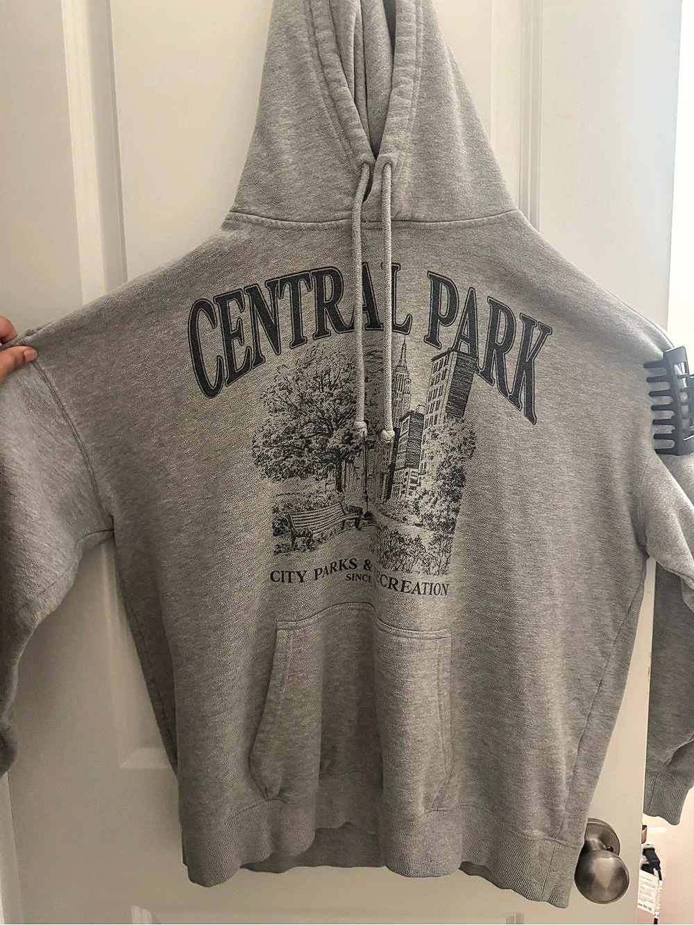 Central Park Graphic Hoodie in Gray